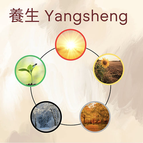 Yangsheng: Prinzipien für ein Leben im Einklang mit den natürlichen Rhythmen